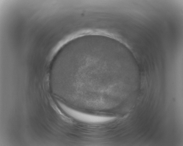 X0000082201503200701270105