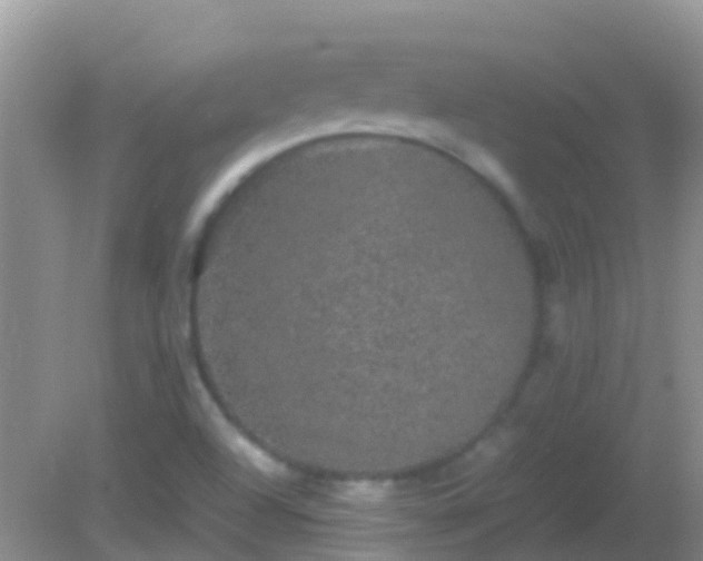 X0000082201504200701270105