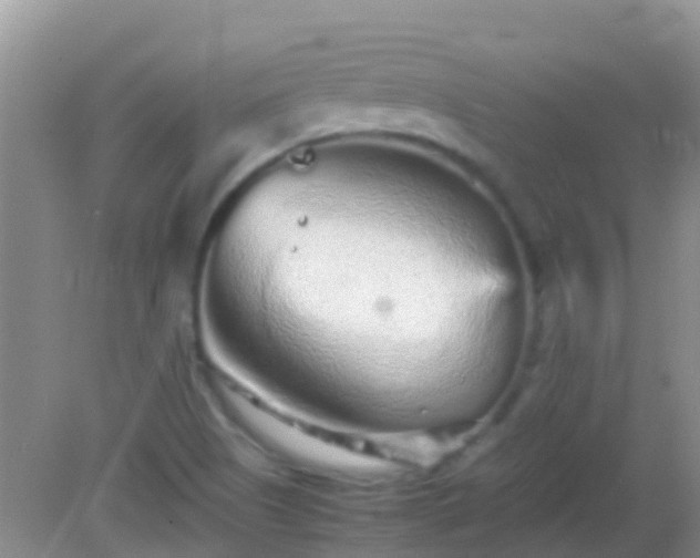 X0000082201505200701270105