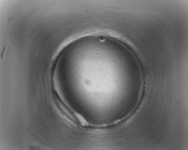 X0000082201506200701270105