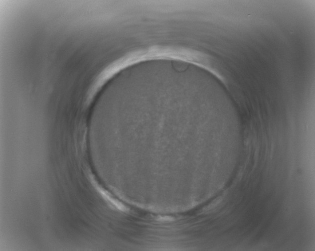 X0000082201507200701270105