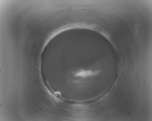 X0000082201508200701270105