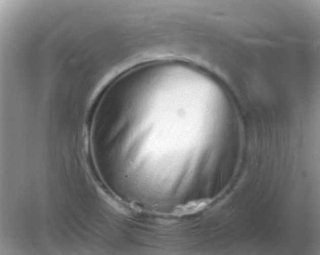 X0000082201509200701270105