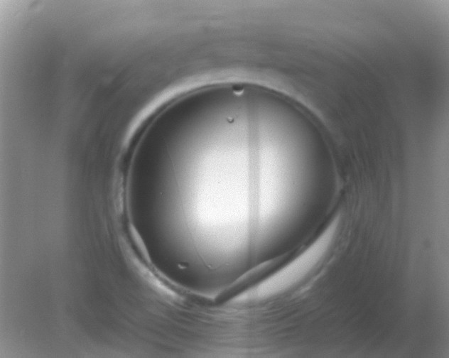 X0000082201510200701270105