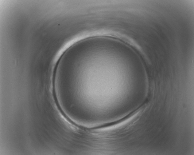 X0000082201512200701270105