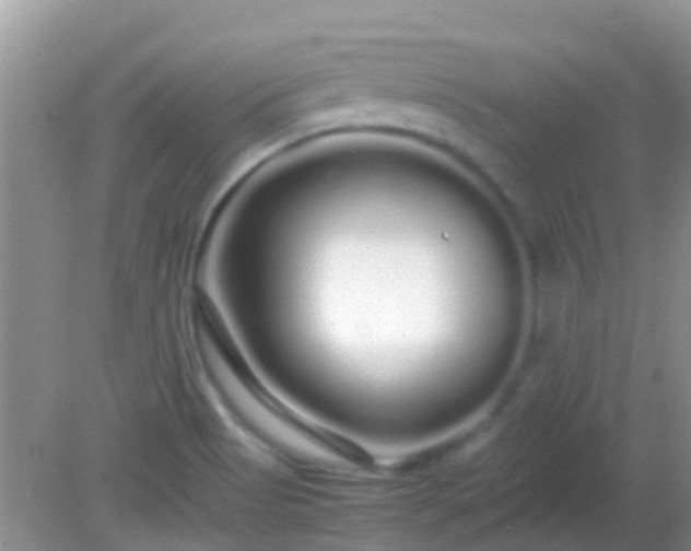 X0000082201513200701270105