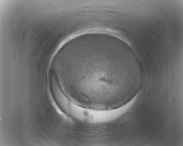 X0000082201515200701270105