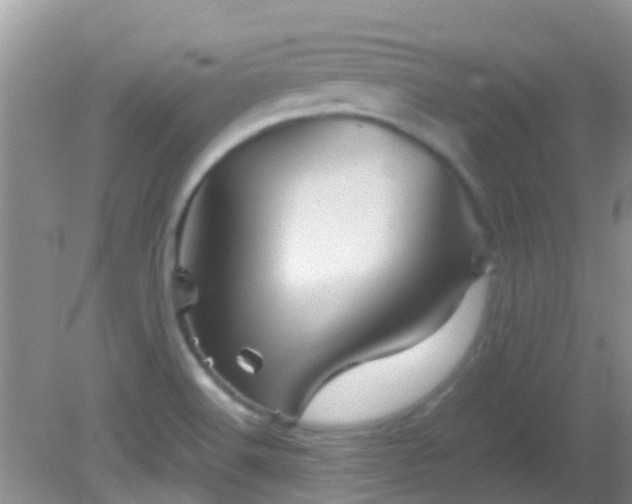 X0000082201516200701270105