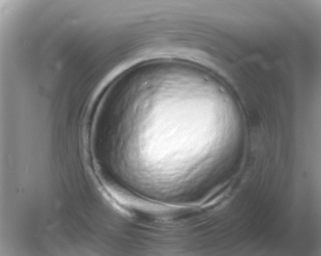 X0000082201517200701270105