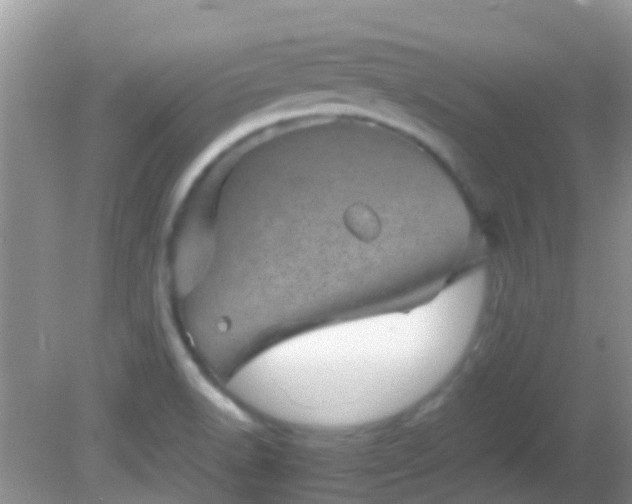 X0000082201518200701270105