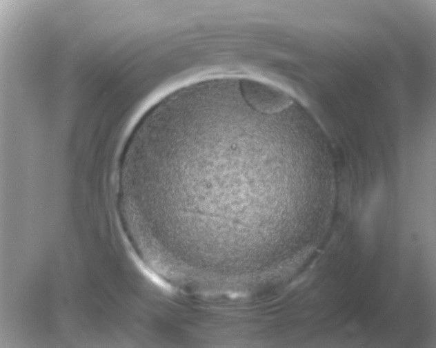 X0000082201519200701270105