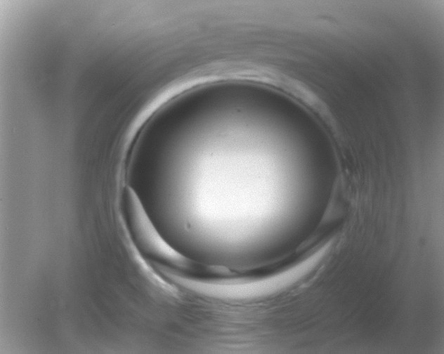 X0000082201520200701270105