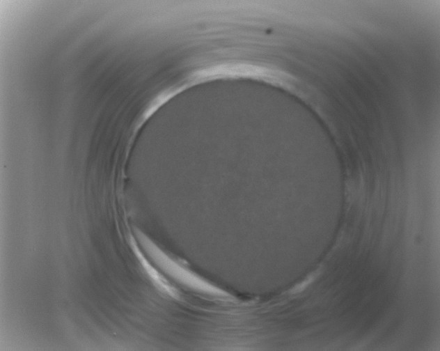 X0000082201521200701270105