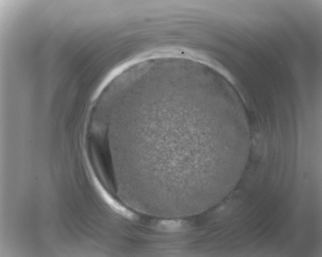 X0000082201523200701270105