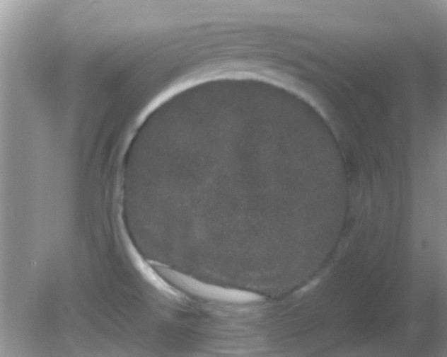 X0000082201526200701270105