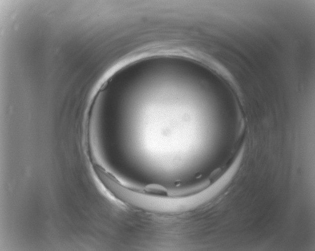 X0000082201528200701270105