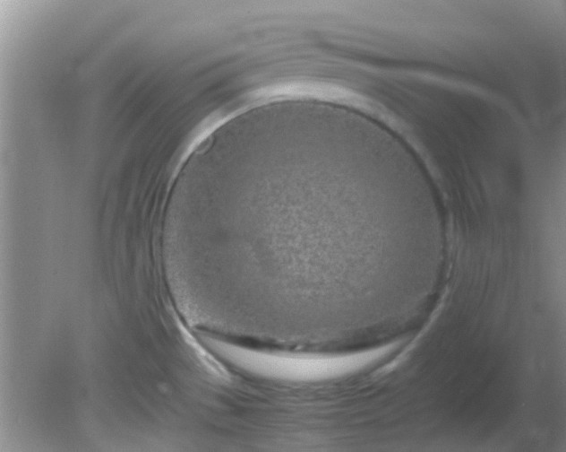 X0000082201529200701270105