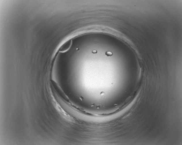 X0000082201530200701270105