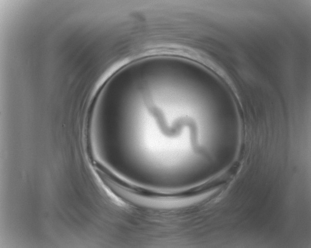 X0000082201533200701270105