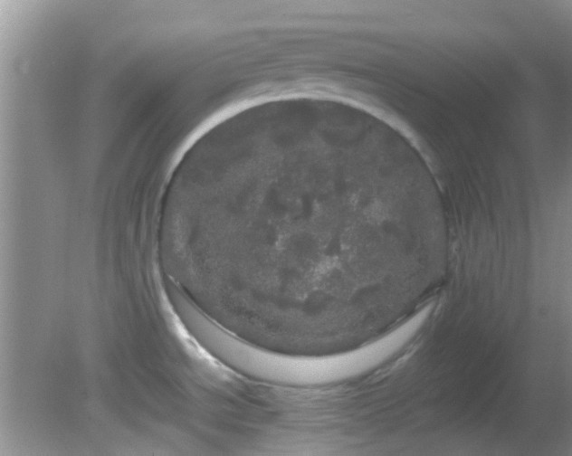 X0000082201534200701270105