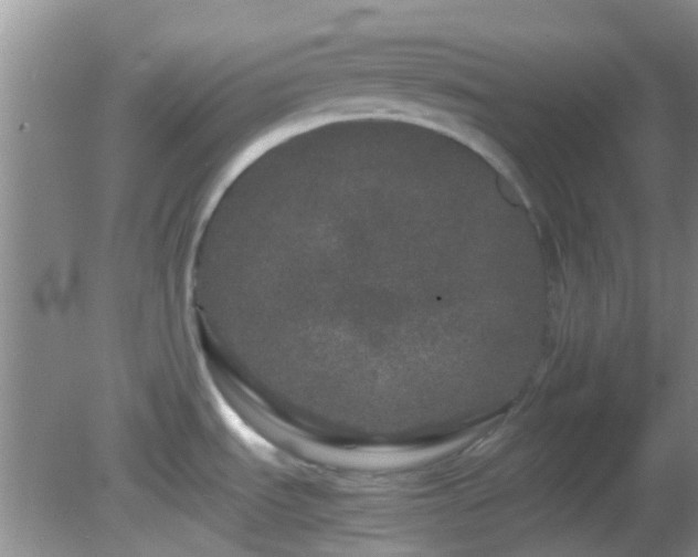 X0000082201535200701270105