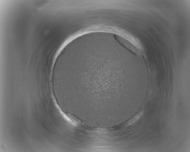 X0000082201536200701270105