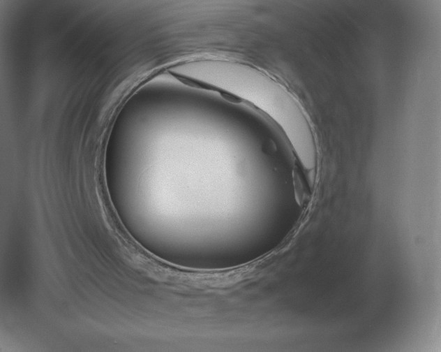 X0000082200001200702021856