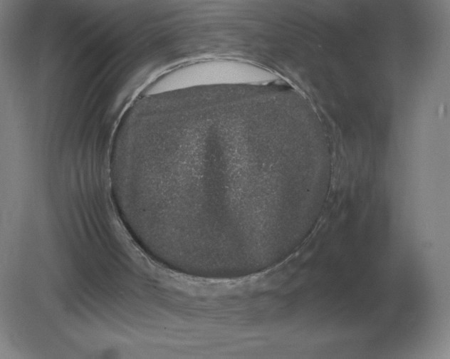 X0000082200002200702021856