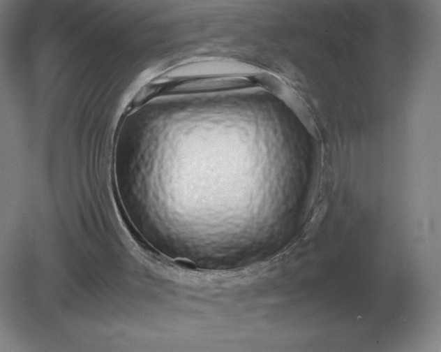 X0000082200003200702021856