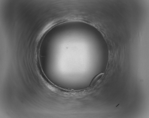 X0000082200005200702021856