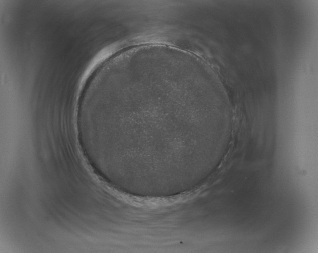 X0000082200006200702021856