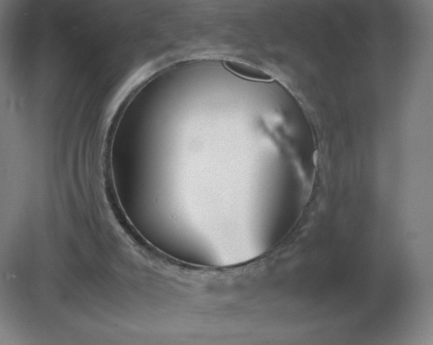 X0000082200007200702021856