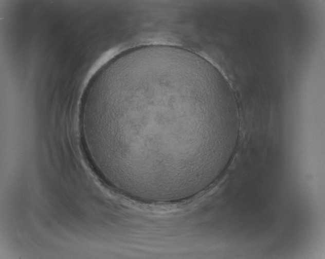 X0000082200008200702021856