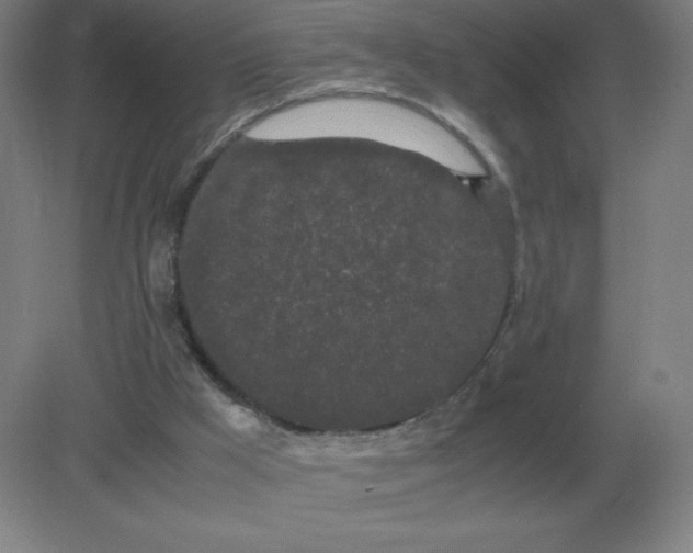 X0000082200009200702021856