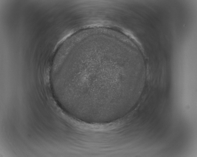 X0000082200010200702021856