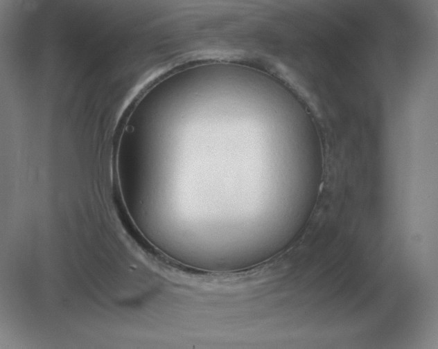 X0000082200011200702021856