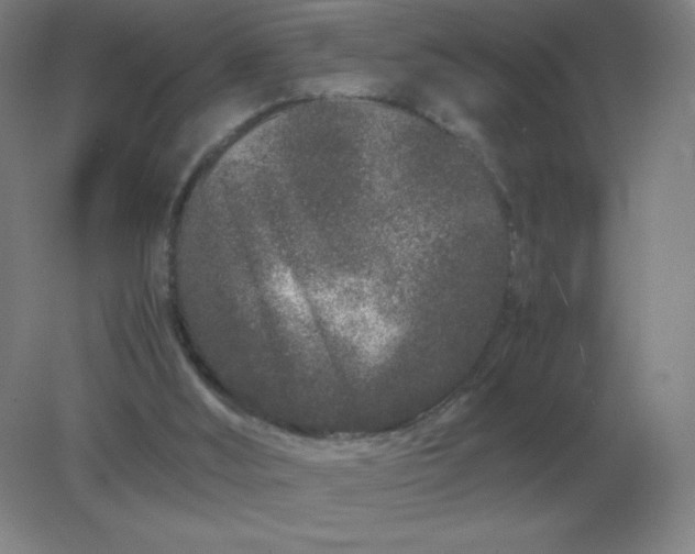 X0000082200012200702021856