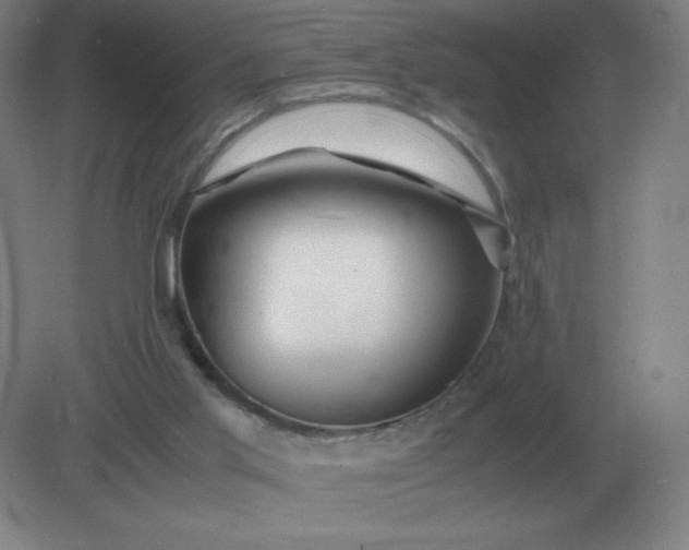 X0000082200013200702021856