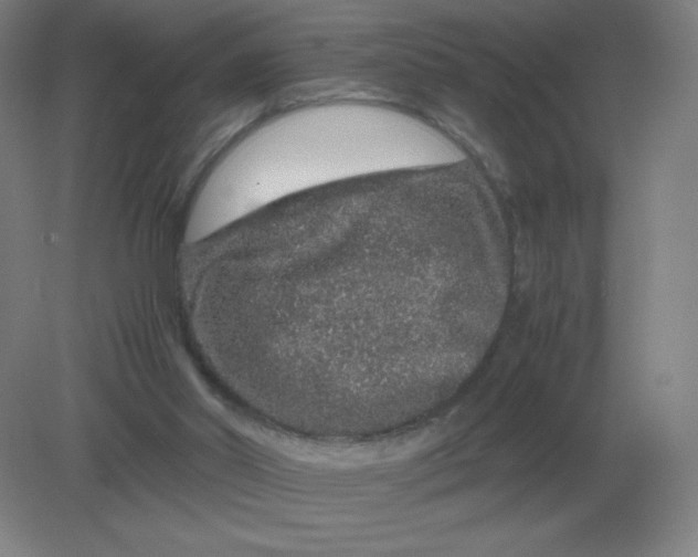 X0000082200014200702021856