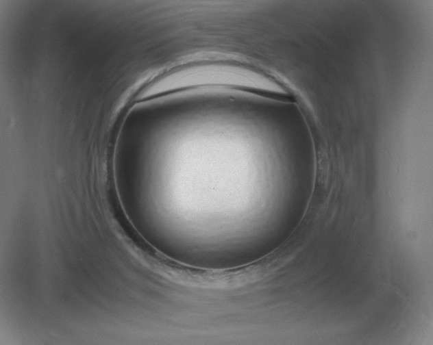 X0000082200015200702021856