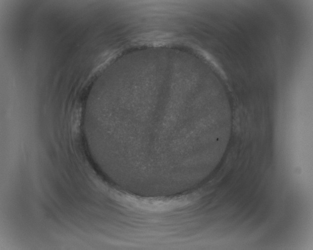 X0000082200018200702021856