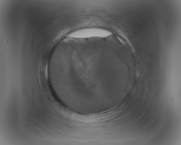 X0000082200019200702021856