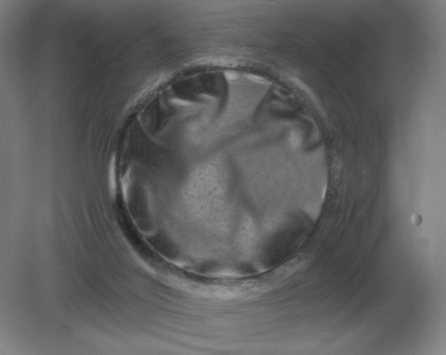 X0000082200020200702021856