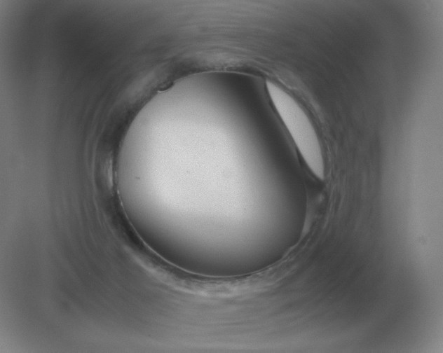 X0000082200021200702021856