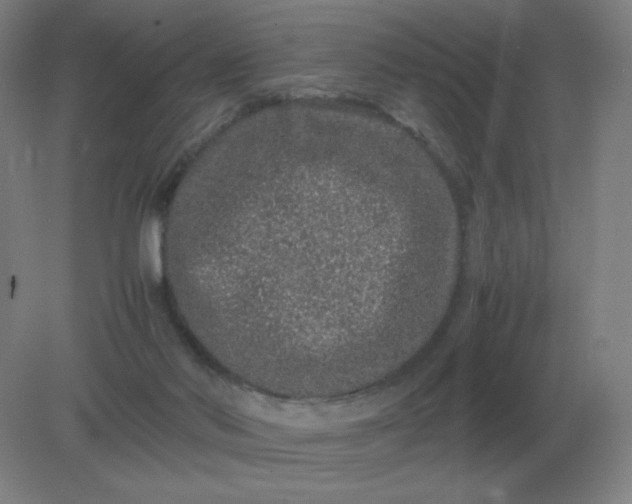 X0000082200022200702021856