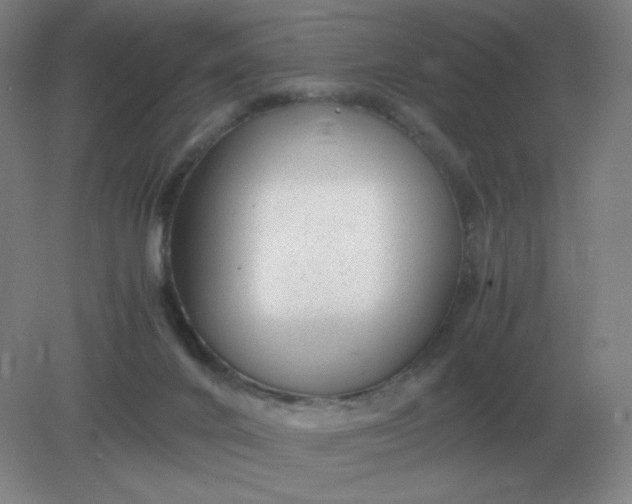 X0000082200024200702021856