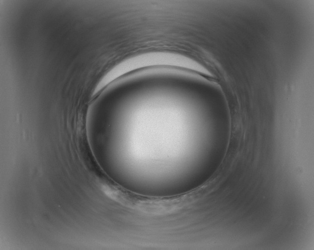 X0000082200025200702021856