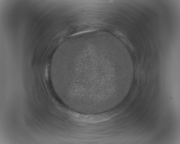 X0000082200026200702021856