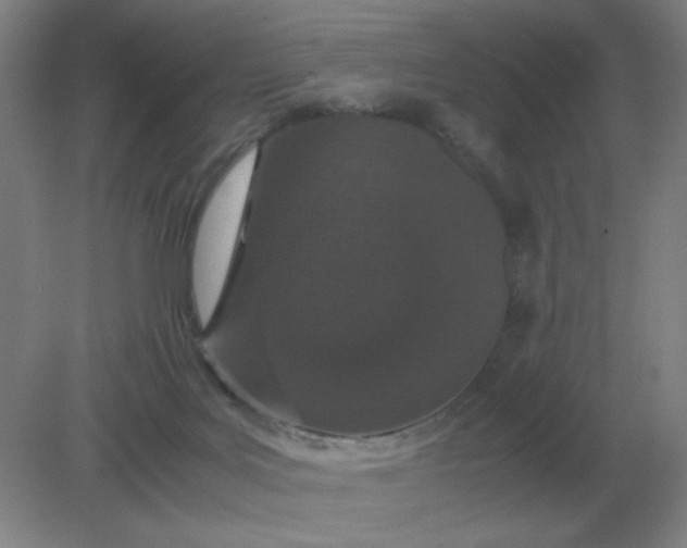 X0000082200027200702021856