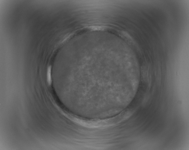 X0000082200028200702021856